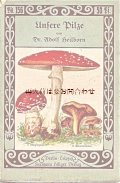 アンティーク紙もの☆　食用キノコと毒キノコ　小冊子