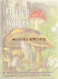 アンティーク紙もの☆　お手頃　楽しいきのこ図鑑　小冊子