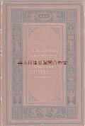 アンティーク洋書★　英語文学の歴史　ルネッサンス　古典主義
