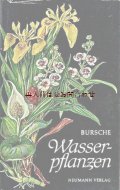 楽しい古本★　　水草　 水草の小さな植物学　イラスト　Neumann　植物図鑑　