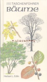 楽しい古本★　庭　野原　森の木の本　　図鑑　ナチュラル　ガイド