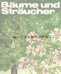 楽しい古本★　木と低木の本   ８０年代植物図鑑　 イラストの素敵な本　