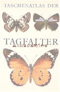 楽しい古本★ 　おしゃれな蝶々イラストの古書　イラスト多数　