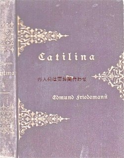画像1: アンティーク洋書☆　模様の素敵な小説　Calitilina 　1886年