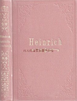 画像1: アンティーク洋書☆　型押し模様の素敵な茶色の古書　Ernst von　Wildenbruch　悲劇