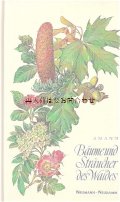 楽しい古本★ イラストページの素敵な図鑑　森の木と低木　