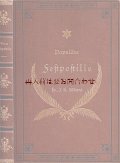 アンティーク洋書★　裏表紙天使•背表紙十字架模様の古書　Populäre Festpostille