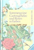 ボタニカル　古本★　 ボタニカル　アート　図鑑 夏のお庭の花々の本　薔薇　落葉樹　低木