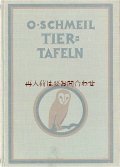 楽しい古本★ 　　動物　生物　　自然科学　解剖　図鑑  　イラスト多数　★閲覧注意 