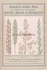 アンティーク★　ボタニカル　リアルな植物画の小さな本　穀物　牧草地の草　冊子　
