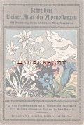 アンティーク★　アルプスの植物　カラー図版　高山植物　アルプスの花ガイド　冊子　