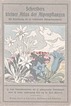 画像1: アンティーク★　アルプスの植物　カラー図版　高山植物　アルプスの花ガイド　冊子　