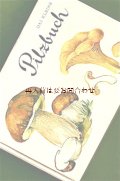 楽しい古本★　レトロなイラスト　可愛らしいキノコ図鑑　きのこの小さな本　　60年代