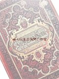 アンティーク洋書★　大きめ古書　アート　コレクション In Luft und Sonne　芸術　アルバム