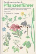 楽しい古本☆　ボタニカル　イラスト　1400種　1020イラスト　ドイツや近隣諸国の植物ガイド　