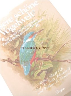 画像1: 楽しい古本　 　自然　小鳥の本　美しい野鳥　イラストページ多数　図鑑　60年代