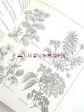 楽しい古本　洋書★ 　シスター•ベルナーディンの薬草本　　ハーブ　効能　ボタニカル　　イラスト付