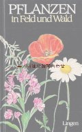 楽しい古本★　 ボタニカル　アート　牧場や野の植物　　６４　イラスト　図版