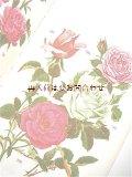 楽しい古本★　 ボタニカル　アート　植物　庭の花々や低木　ガーデン本　60年代