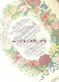 楽しい古本★インゼルの大きな古書★　Maria Sibylla Merian　花柄外箱＋２冊入