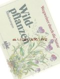 楽しい古本☆　中央ヨーロッパの野草図鑑　　自然　植物　ボタニカル　イラスト多数
