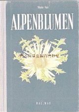 楽しい古本★ 　スイス　小さな高山植物図鑑　ボタニカル　イラスト　アルプスの植物　