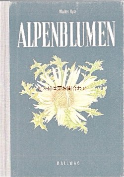 画像1: 楽しい古本★ 　スイス　小さな高山植物図鑑　ボタニカル　イラスト　アルプスの植物　