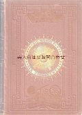 アンティーク大きめ洋書★希少　天文　宇宙　星の素晴らしい本　イラスト多数　星図付　1884年　