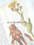 楽しい古本★　  リアルな植物画　ヒーリング植物図鑑　Natur in Farbe シリーズ　薬草　有毒植物　　ハーブ