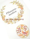 楽しい古本★　  植物モチーフ　イラスト　陶器　絵付け等　デザイン　インスピレーション　