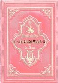 アンティーク洋書☆　楽器柄　バイオリン柄　深い立体模様の素敵な古書  音楽史　研究　ドイツ国外の作曲家