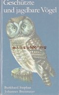 楽しい古本☆　保護鳥と狩猟鳥の本　イラスト　図版　70年代
