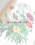 楽しい古本☆　　Margot  Schubert　コレクション　植物画　豪華イラストページ多数　　おまけ付