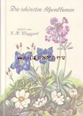 楽しい古本★　レトロなイラスト　高山植物図鑑　アルプスの植物　