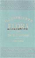 アンティーク洋書★　Dr. H.Potonié　北部•中部ドイツの植物　　イラスト　植物•古植物学　