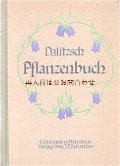 アンティーク★希少☆ 美☆イラスト多数　レトロな植物学の教科書　　ボタニカル　