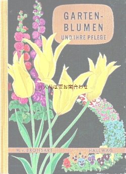画像1: 楽しい古本洋書☆　レトロなお花イラスト　植物画　　スイス　お庭の花々とケア　ガーデン　