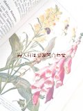 楽しい古本★　 植物学の参考書　カラー　イラスト図版　多数　1937年