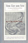 アンティーク洋書★　貝  微生物  岩場　小さな生物達の本　42点イラスト