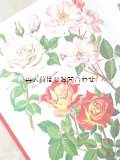 楽しい古本☆　カラフル　イラストページ多数　デンマークからのバラ図鑑　　ドイツ語版　ボタニカル　植物画　