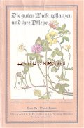 アンティーク★　ボタニカル　植物画の小さな本　　冊子　