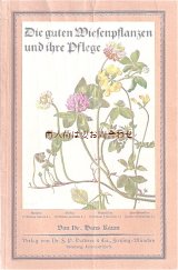アンティーク★　ボタニカル　植物画の小さな本　　冊子　
