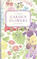 楽しい古本☆　カラフル　イラストページ多数　　ボタニカル　植物画　 英語　ガーデン植物