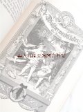 アンティーク☆　親和力•ヴィルヘルム•マイスターの遍歴時代他　ゲーテ作品集　美イラスト　シャビーな大型古書　長編小説
