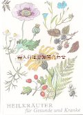 ボタニカル古本★　小さなハーブ図鑑　　薬草　カラフル　かわいい古書　ボタニカル　イラスト　