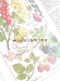 楽しい古本☆ 　野菜や果物イラストの素敵な本　レトロ　イラスト　80年代