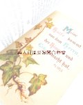 アンティーク洋書　☆　忘れな草の小さな本　クリスチャン　愛と友情のメモリアルブック　挿絵の素敵な古書 　星と花柄　　