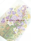 楽しい古本★　水彩イラスト×詩集　お花のイラストが素敵な古書　　ボタニカル　