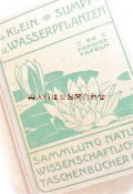 アンティーク洋書★植物図鑑　 Ludwig Klein ボタニカル　水辺の植物　イラスト多数　