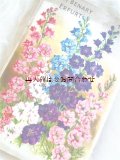 アンティーク☆　素敵な花柄の小冊子　ガーデニング　　お花のカタログ　